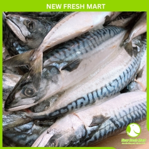 Cá Saba Nauy Nguyên Con New Fresh Cá Saba Nauy Nguyên Con New Fresh