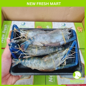Tôm Càng Xanh Đông Lạnh New Fresh Tôm Càng Xanh Đông Lạnh New Fresh