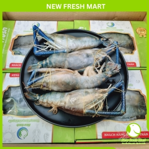 Tôm Càng Xanh Đông Lạnh New Fresh Tôm Càng Xanh Đông Lạnh New Fresh