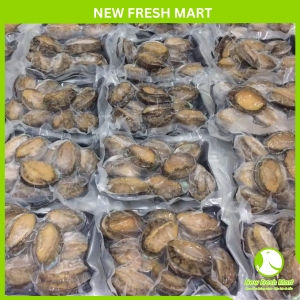 Bào Ngư Đông Lạnh New Fresh 10-12 Bào Ngư Đông Lạnh New Fresh 10-12