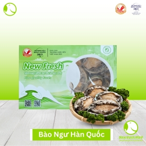 Bào Ngư Hàn Quốc New Fresh