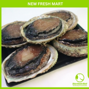 Bào Ngư Úc Viền Đen New Fresh