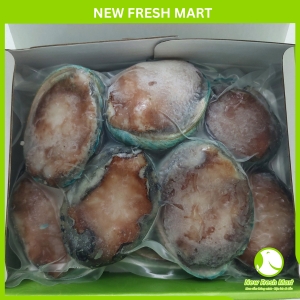 Bào Ngư Ngọc Bích New Fresh