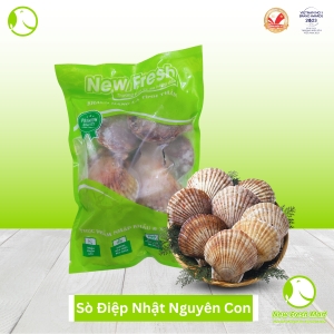 Sò Điệp Nhật Nguyên Vỏ New Fresh