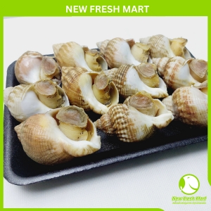 Ốc Bulot Pháp New Fresh
