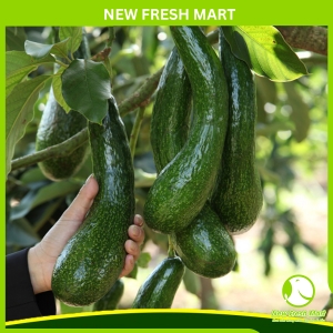 Bơ Nữ Hoàng 034 - Loại I