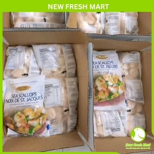 Cồi Sò Điệp Mỹ Sushi