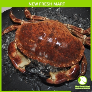 Cua Nâu Nauy Tươi