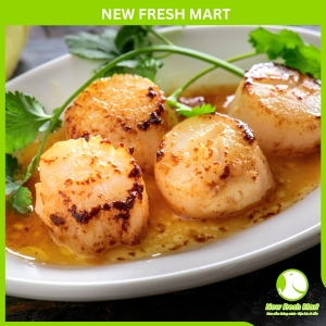 Còi Sò Điệp Khô Hoàng Kim