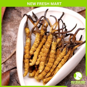 Đông Trùng Hạ Thảo Tây Tạng