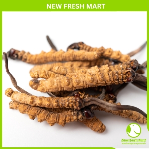 Đông Trùng Hạ Thảo Tây Tạng