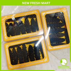 Hải Sâm Đen Thổ Nhĩ Kỳ