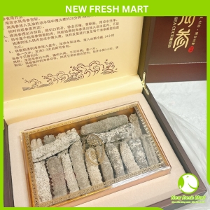 Hải Sâm Gai Vàng