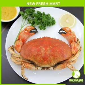 Cua Jonah Hấp Nguyên Con Cua Jonah Hấp Nguyên Con