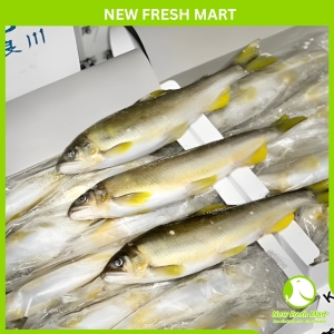 Cá Đắng Có Trứng