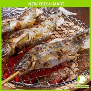 Cá Đắng Có Trứng