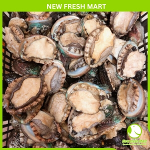 Bào Ngư Hàn Quốc Tươi