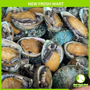 Bào Ngư Hàn Quốc Tươi