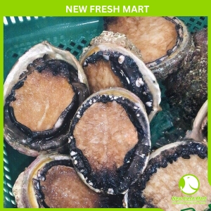 Bào Ngư Úc Viền Đen Sống