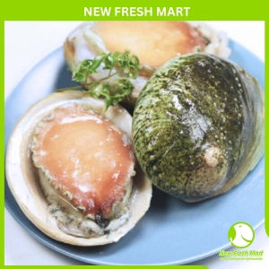 Bào Ngư Úc Viền Xanh (Nguyên Vỏ)