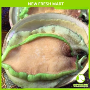 Bào Ngư Úc Viền Xanh (Nguyên Vỏ)