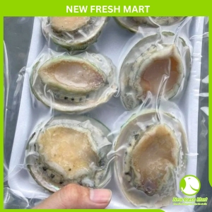 Bào Ngư Úc Viền Xanh (Nguyên Vỏ)