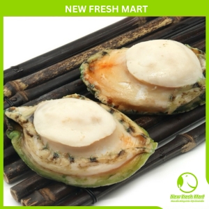 Thịt Bào Ngư Úc Viền Xanh Size 5-6