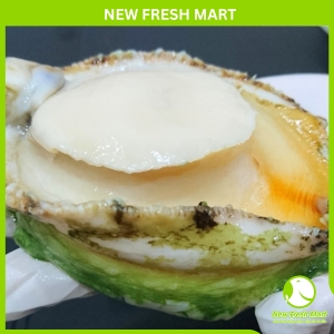 Thịt Bào Ngư Úc Viền Xanh Size 7-8