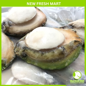 Thịt Bào Ngư Úc Viền Xanh Size 7-8