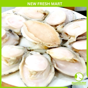 Thịt Bào Ngư Úc Viền Xanh Size 10-15 Thịt Bào Ngư Úc Viền Xanh Size 10-15