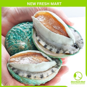 Bào Ngư Úc Bích Hổ Jade Tiger