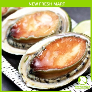 Bào Ngư Úc Viền Xanh Greenlip