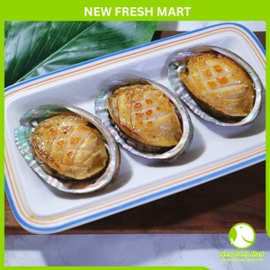 Bào Ngư Úc Viền Xanh Greenlip