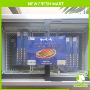 Bào Ngư Úc Viền Xanh Yumbah 10-12