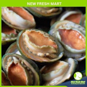 Bào Ngư Úc Yumbah 8/9