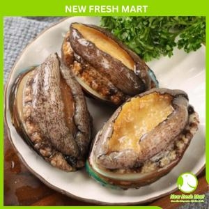 Bào Ngư Hàn Quốc Đông Lạnh Size 8-10