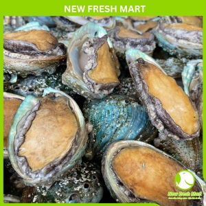 Bào Ngư Hàn Quốc Đông Lạnh Size 10-12