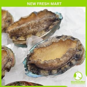 Bào Ngư Hàn Quốc Đông Lạnh Size 16-20