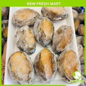 Bào Ngư Hàn Quốc Đông Lạnh Size 16-20