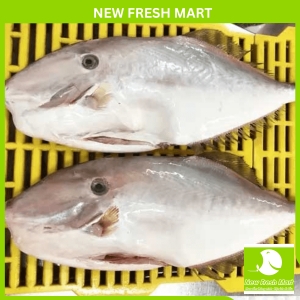 Cá Bò Da Nguyên Con 1Kg Cá Bò Da Nguyên Con 1Kg