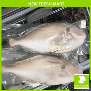 Cá Bò Da Nguyên Con 1Kg Cá Bò Da Nguyên Con 1Kg
