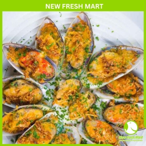 Vẹm Xanh Newzealand Kono