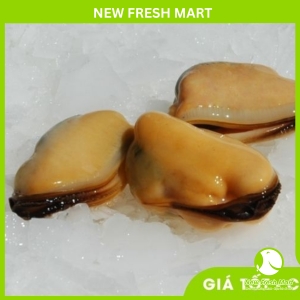 Thịt Vẹm Chile Thịt Vẹm Chile