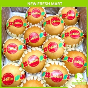 Lê Ngọt Singo Jolie