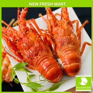 Tôm Hùm Xanh Sống