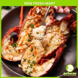 Tôm Hùm Tây Úc Sống