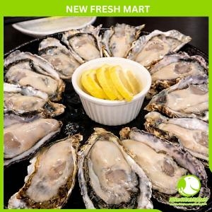 Ruột Hàu Hàn Quốc Nissi