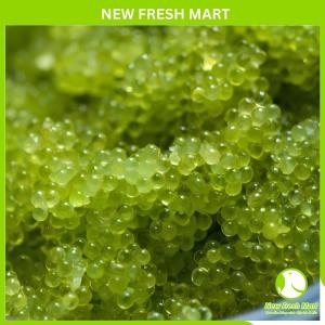 Trứng Cá Chuồn Tobiko Xanh 120G