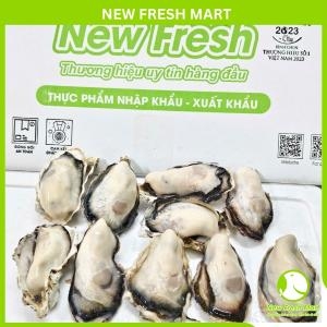 Sashimi Hau Nhật 02